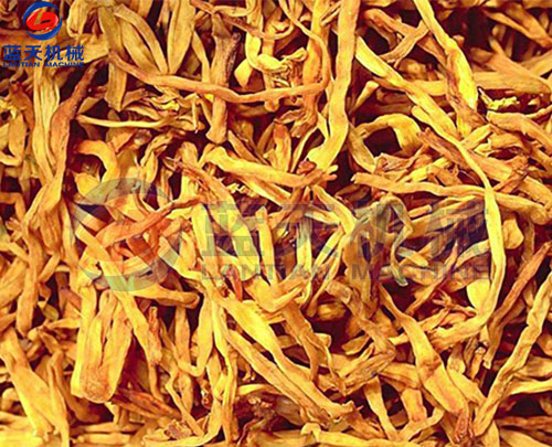 黃花菜烘干機之烘干工藝